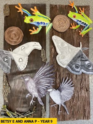 Artwork for gallery